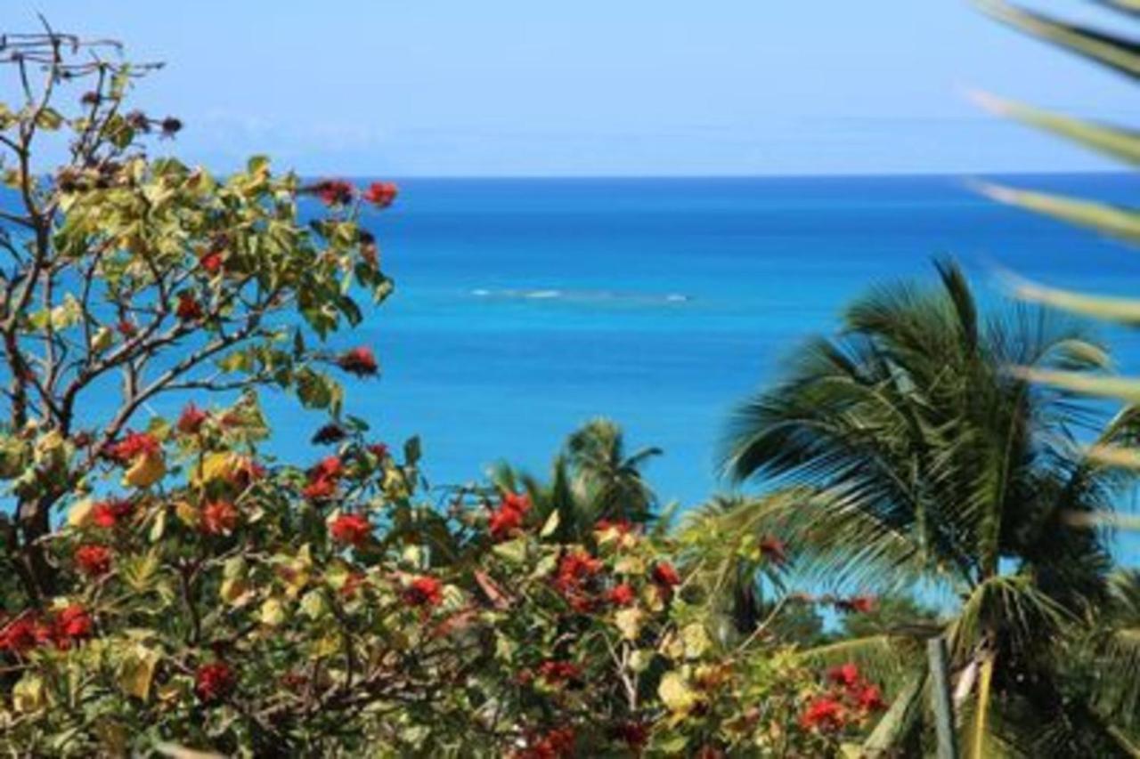 Attractive 2-Bed Apartment Stunning Sea View Dickenson Bay Exteriér fotografie